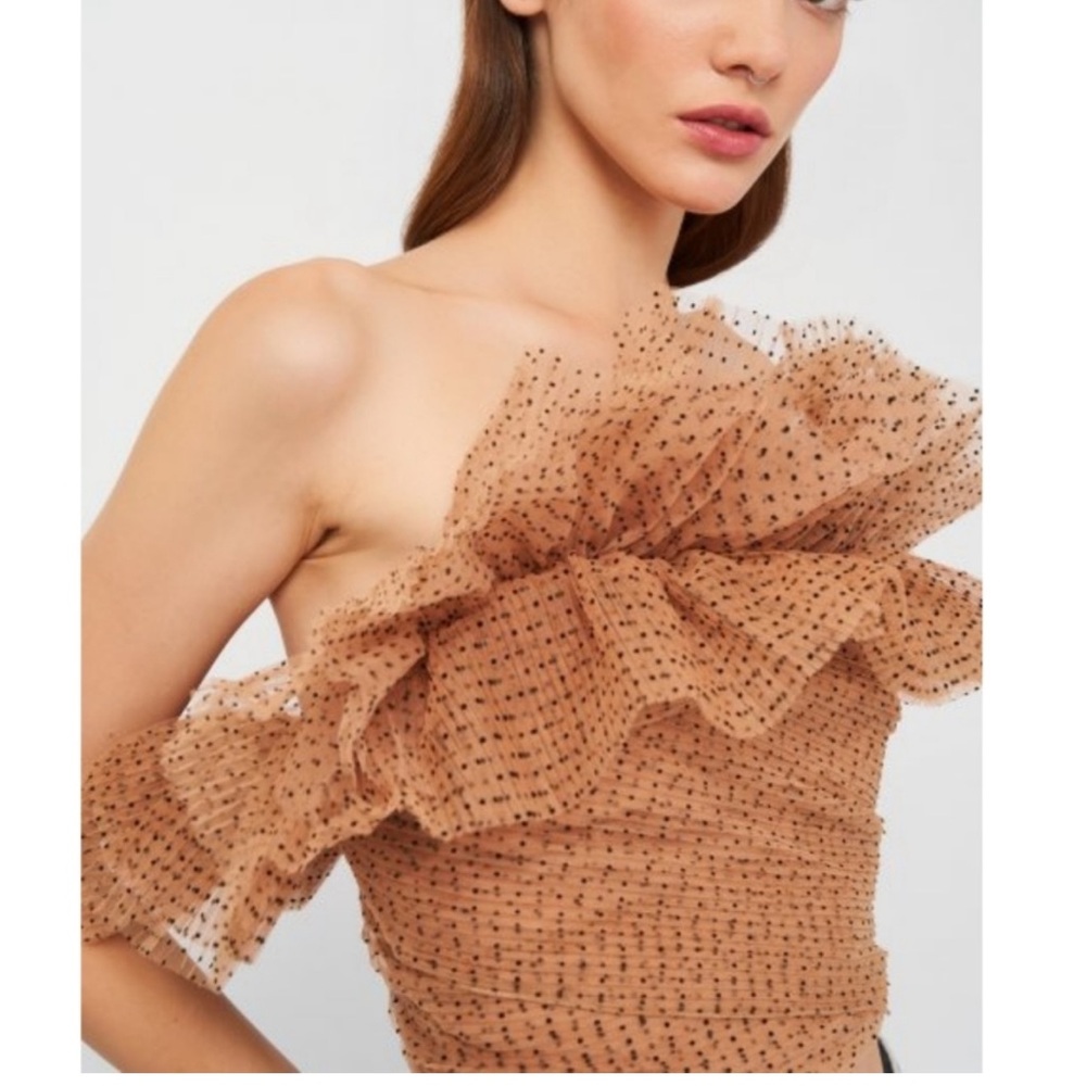 Zara ruffle chiffon polka dot NWT top medium